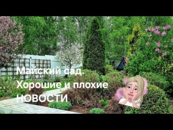 Садовые фантазии - Майский сад: хорошие и плохие новости.
