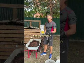 Умное хозяйство - Сажаю сладкий перец в горшки в теплице: почвосмесь, органика и посадка