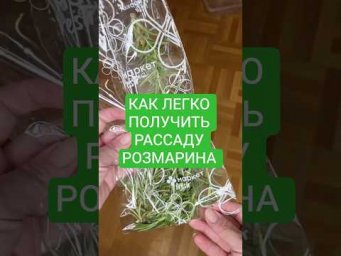 Сад для души - 