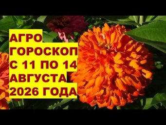 Дача, сад, огород, цветы - Огород по гороскопу - 11 - 14 августа 2026 расскажет правду о ваших урожа