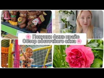 Настя Вольф - Жизнь цветочницы 