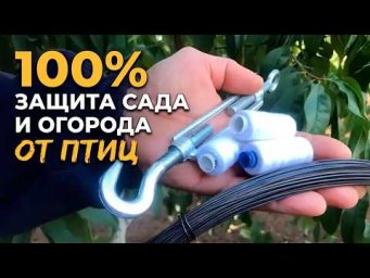 ВинСад ViNsad - Спасаем сад и огород от птиц / Дешево и надежно