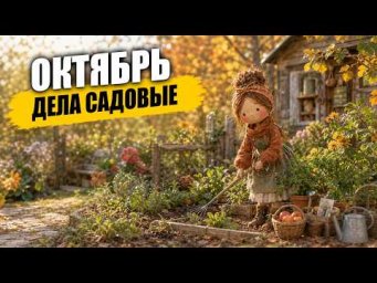 Садовый клуб Наталии Петренко - Октябрь - дела садовые