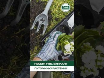 Дача без проблем - Почему НЕ СТОИТ сажать экзотику? Мнение эксперта