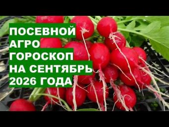Дача, сад, огород, цветы - Лучшие дни для посадки в сентябре 2026 года