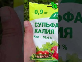 Иван Русских Иванова наука - 