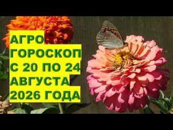 Дача, сад, огород, цветы - Агро гороскоп с 20 по 24 августа 2026: Почему Нельзя Начинать Новые Дела?