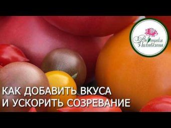 Вероника Поливкина - Почему урожай есть, а вкуса нет Как ускорить созревание томатов, перцев и ягод 