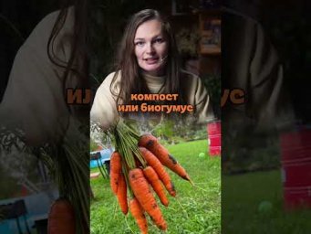 Дачный агроном - Грядка под морковь - готовим правильно #дачныйагроном #рекомендуем