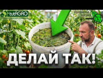 Иван Русских Иванова наука - 