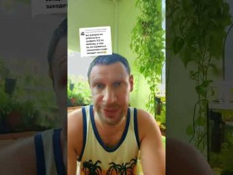 FloraMan - 24 августа 2026 г.