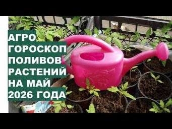 Дача, сад, огород, цветы - Май 2026: Самые Лучшие Дни для Эффективного Полива Растений?!