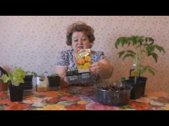 Сад чудес - SOS! Пятна на листьях помидор.