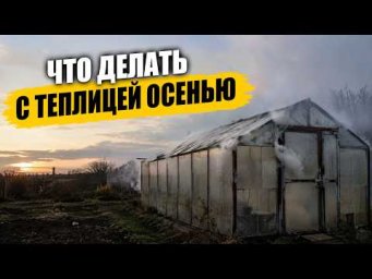 Садовый клуб Наталии Петренко - Что делать с теплицей осенью
