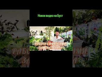 FloraMan - Доступно на Бусти https://boosty.to/floramanspb2022/posts/628238e0-446b-4148-bddf-30e0418