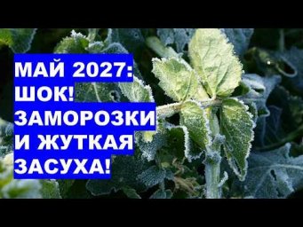 Дача, сад, огород, цветы - Вся правда о мае 2027: от заморозков до засухи!