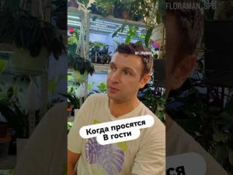 FloraMan - 11 июля 2026 г.