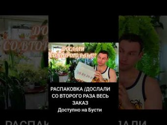 FloraMan - 24 августа 2026 г.