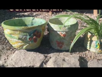 Комнатные цветы - Растюшки мои обласканы!