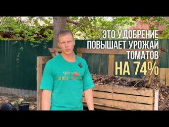Умное хозяйство - Это удобрение повышает урожай томатов на 74% &mdash; и я делаю его из мусора