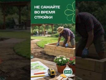 Дача без проблем - НЕ сажайте растения, пока идет стройка!