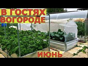 Vogorode - В ГОСТЯХ на нашем ОГОРОДЕ 13 июня Подмосковье
