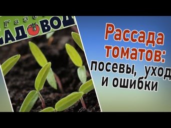 Газета Садовод - Рассада томатов:  посев, уход ошибки.