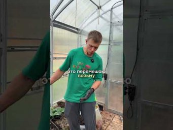 Умное хозяйство - Секрет огурцов которые плодоносят до заморозков &mdash; часть 1/2 