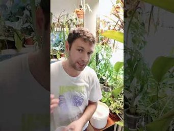 FloraMan - 30 июля 2026 г.