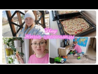 Настя Вольф - Vlog 