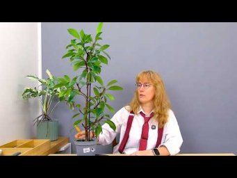 Усадьба Багиры - Формирование фикуса циатистипула (ч.1).