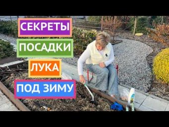 Садовый гид Лариса Зарубина - Посадите лук под зиму, чтобы получить ранний урожай!