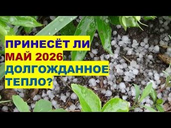 Дача, сад, огород, цветы - Будет ли Теплее Май 2026? Когда Будут Теплые и Холодные Дни?!