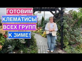 Садовый гид Лариса Зарубина - Как отправить на зимовку клематисы любой группы обрезки!
