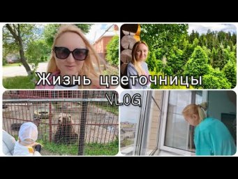 Настя Вольф - Жизнь цветочницы 