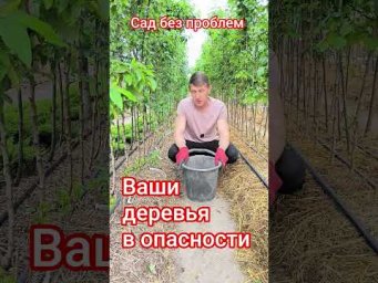 Сад без проблем - Ваши деревья в опасности!