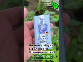 Иван Русских Иванова наука - 