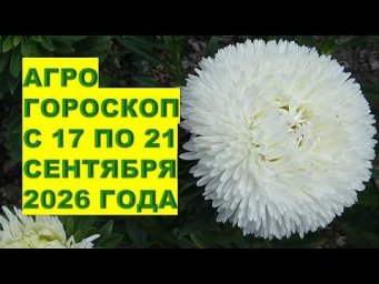 Дача, сад, огород, цветы - Агрогороскоп  с 17 по 21 сентября 2026 года: Что Важно Сделать в Саду и н