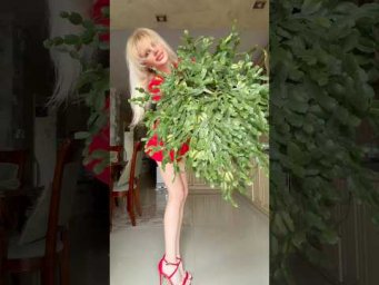 Garden orchides - Универсальный полив всех комнатных растений!