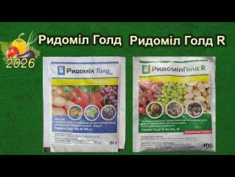 Дела домашние - Ридоміл Голд і Ридоміл Голд R.  Травимо фітофтору чи себе ?