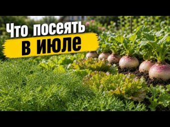 Садовый клуб Наталии Петренко - Что посеять в июле