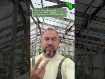 Иван Русских Иванова наука - 