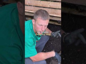 Умное хозяйство - Удобрение, которое увеличивает урожаи... #вермикомпост #биогумус # #томаты #удобре