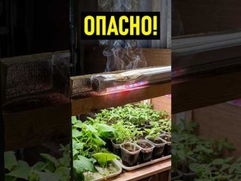 Практичный огород - Пожароопасность фитоламп