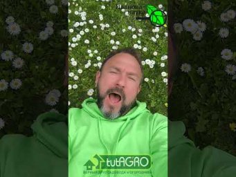 Иван Русских Иванова наука - 