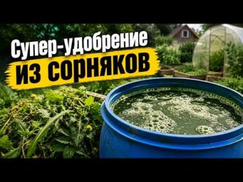 Садовый клуб Наталии Петренко - Супер - удобрение из сорняков
