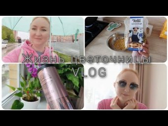 Настя Вольф - Жизнь цветочницы Купила стильные очки Скучаю по старым подписчикам
