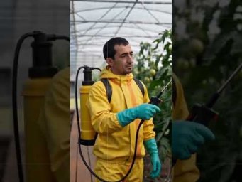 Агрофирма Аэлита - Препараты для опрыскивания 