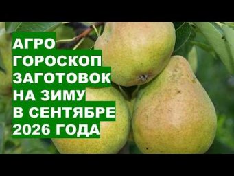 Дача, сад, огород, цветы - Сентябрь 2026: Самые Благоприятные Дни для Заготовок на Зиму?!