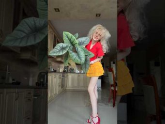 Garden orchides - Алоказии полезно поливать этими кислотами из аптеки!